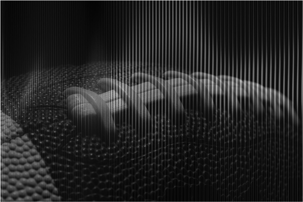 Sam Palazzolo - What the NFL Draft Actually Teaches Leaders About Capital and Decisions